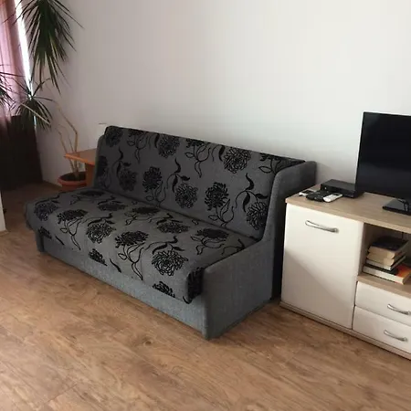 Orchidea 1 * Ragusa