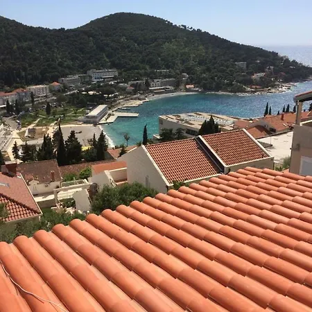 Orchidea 1 * Dubrovnik